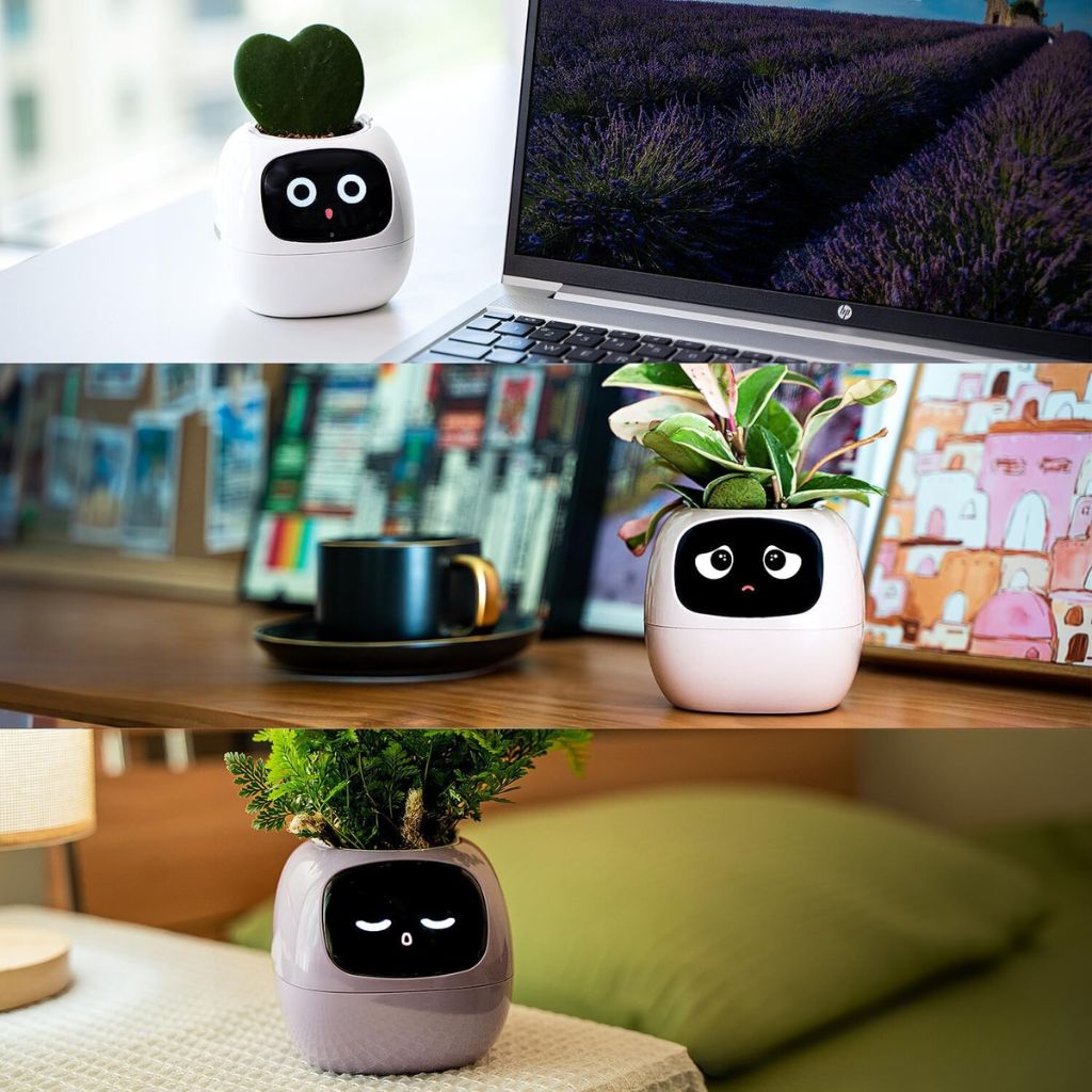 Ivy Smart Plant Pot